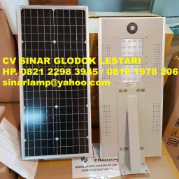 Lampu PJU Tenaga Surya 30 watt All In One